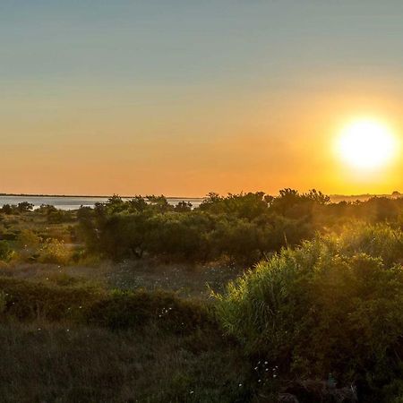 Villa Nissos Línia Dış mekan fotoğraf