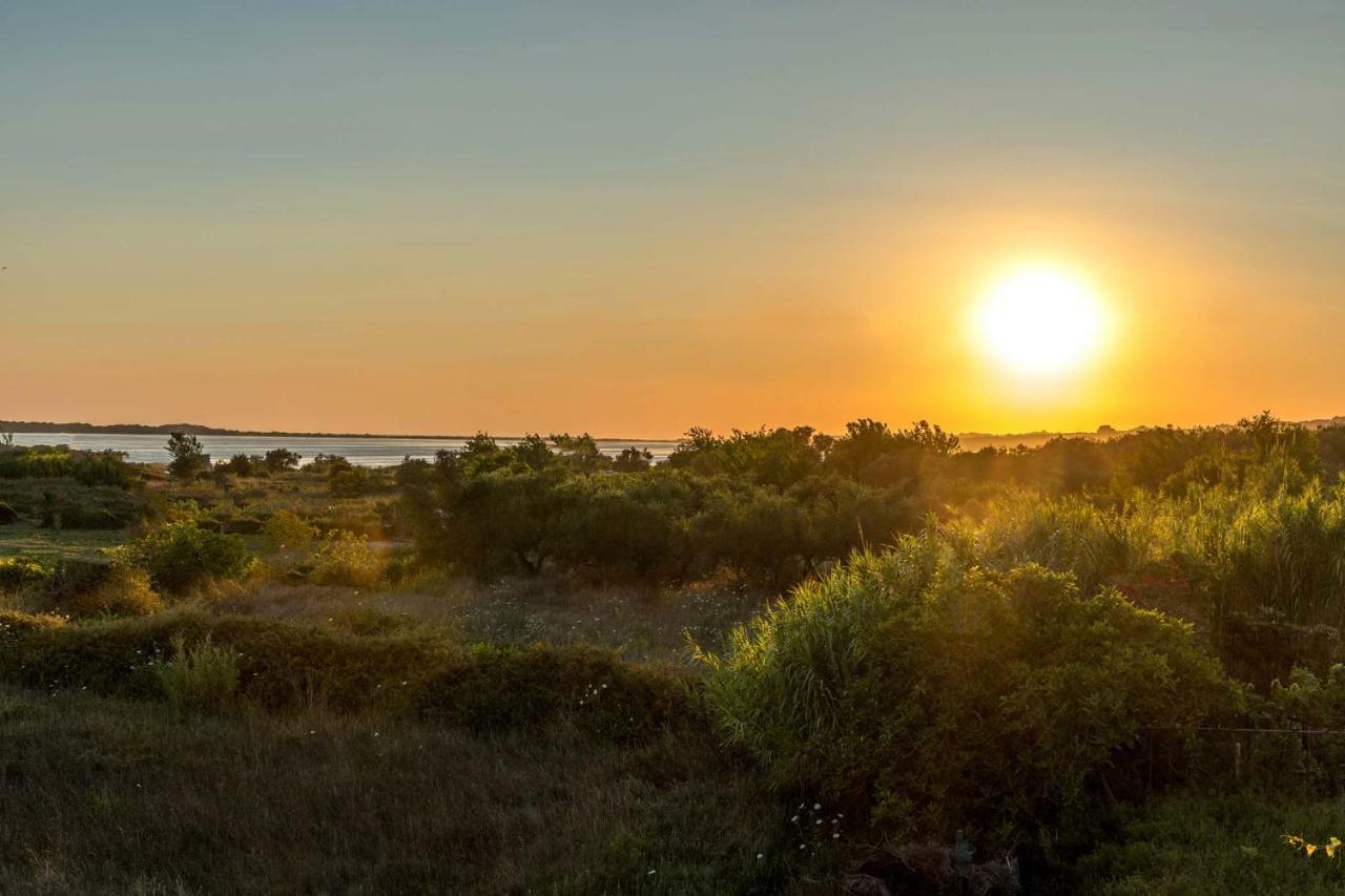 Villa Nissos Línia Dış mekan fotoğraf